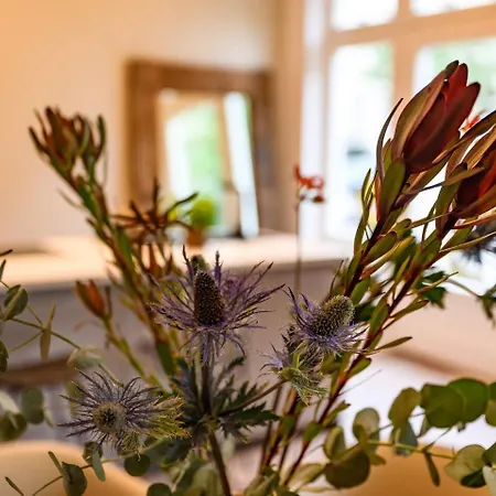 Cozy Lofts Next To Berliner Berlín